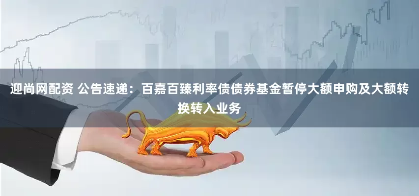 迎尚网配资 公告速递：百嘉百臻利率债债券基金暂停大额申购及大额转换转入业务
